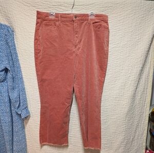 LOFT - Coral Corduroy Pants, Size 34